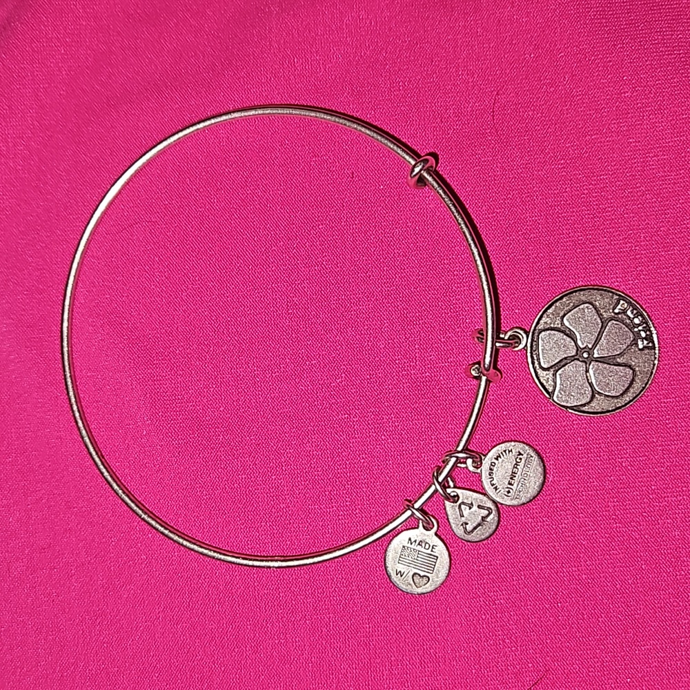 Alex and Ani bracelet